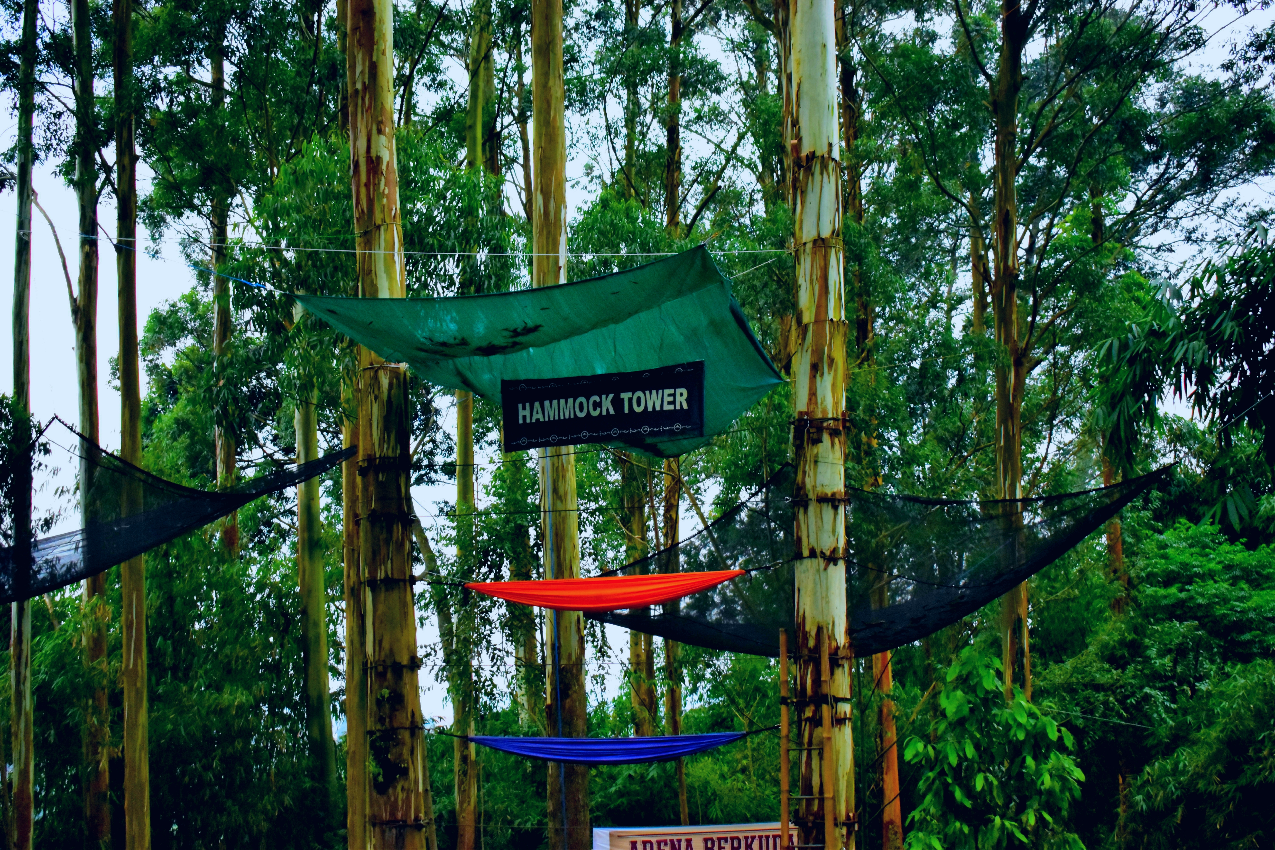 Dusun Bambu Primadona Wisata Alam Baru di Bandung deCODE