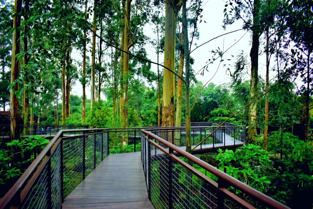 Dusun Bambu Primadona Wisata Alam Baru di Bandung deCODE