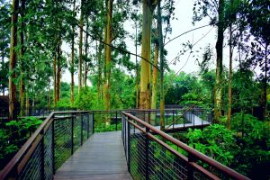 Dusun Bambu: Primadona Wisata Alam Baru di Bandung