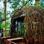 Dusun Bambu: Primadona Wisata Alam Baru di Bandung