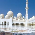 The Wonderful Earmark of Abu Dhabi