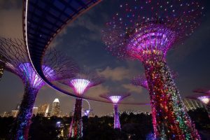 Dig The Beauty of Gardens By The Bay Singapore