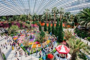 Dig The Beauty of Gardens By The Bay Singapore