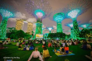 Dig The Beauty of Gardens By The Bay Singapore