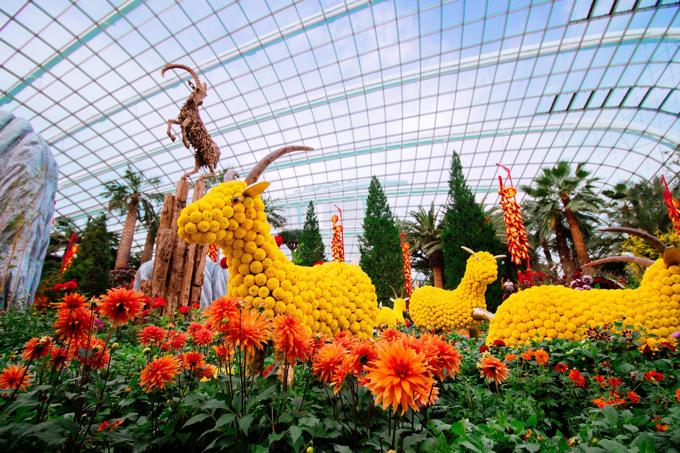 Dig The Beauty of Gardens By The Bay Singapore