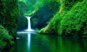 5 Destinasi Wisata di Indonesia