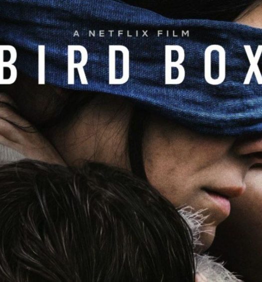 Bird Box: Ketika Melihat Membawa Malapetaka