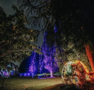 Tampilan Baru Kebun Raya Bogor, Cocok Untuk Malam Mingguan