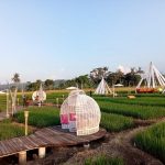 Wisata Unik Kampung Sabin di Cirebon, Bernuansa Seperti Ubud Bali