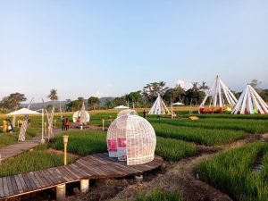 Wisata Unik Kampung Sabin di Cirebon, Bernuansa Seperti Ubud Bali