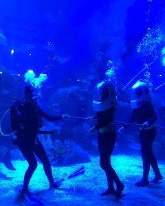Jakarta Aquarium, Wisata Hits yang Instagramable Banget!