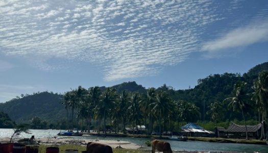 Pulau Viral di Sumatera Barat Surga nya Snorkeling